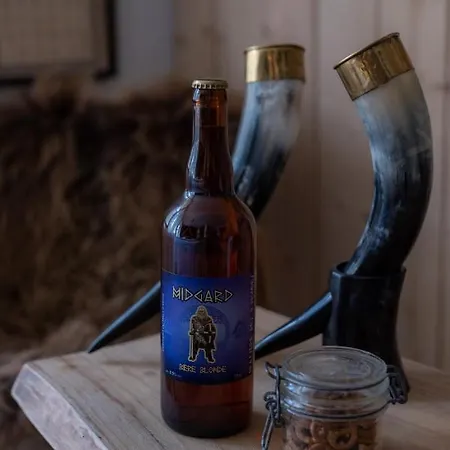 Insolite Viking
