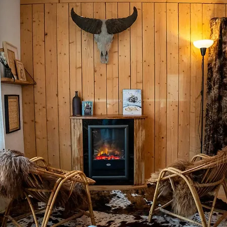 Insolite Viking * Caen