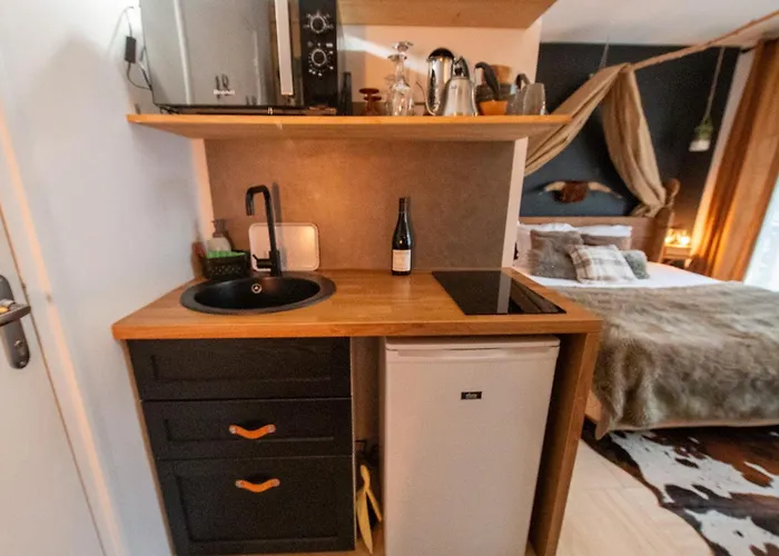 Insolite Viking Caen